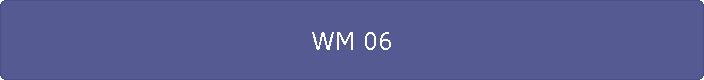 WM 06