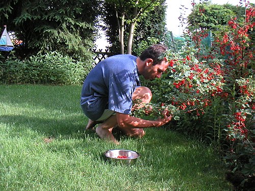 030600 Garten im Juni 007