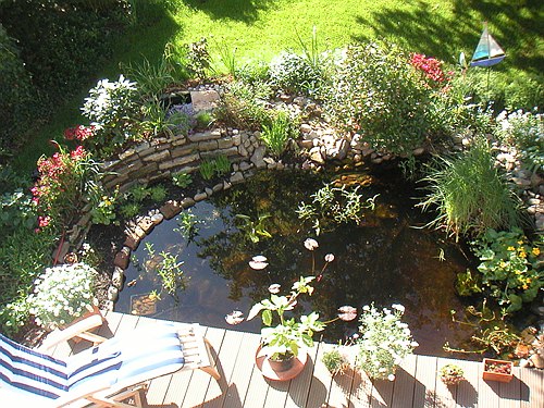 030500 Garten im Mai 000