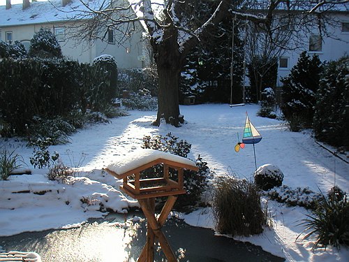 Garten im Schnee004