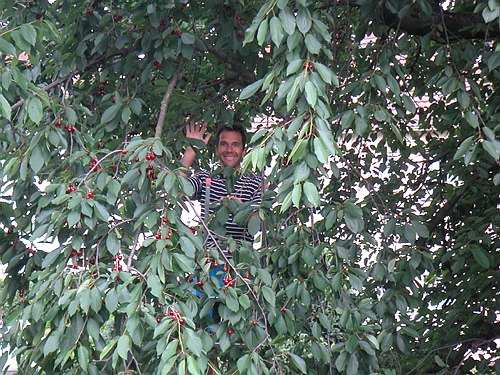 030600 Garten im Juni 011