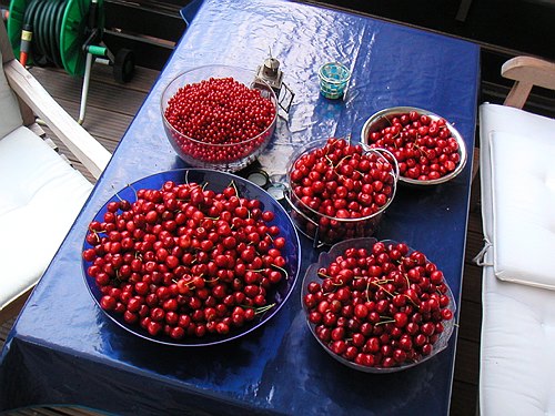 030600 Garten im Juni 017