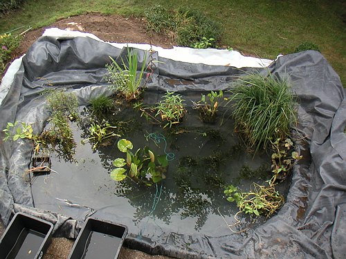 020922 Teich und Terrasse Renovieren 021