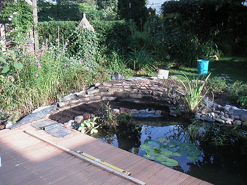 020922 Teich und Terrasse Renovieren 024