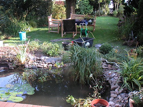 020922 Teich und Terrasse Renovieren 026