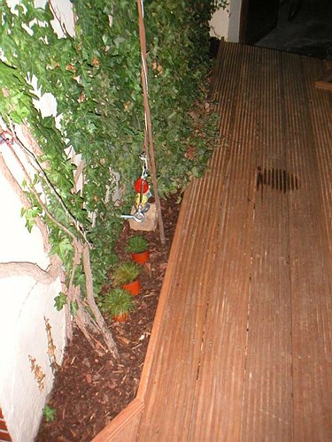 020922 Teich und Terrasse Renovieren 072