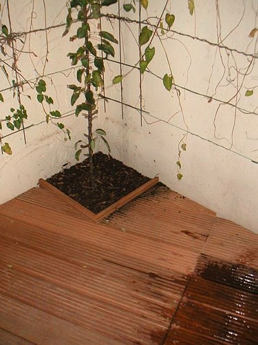 020922 Teich und Terrasse Renovieren 073